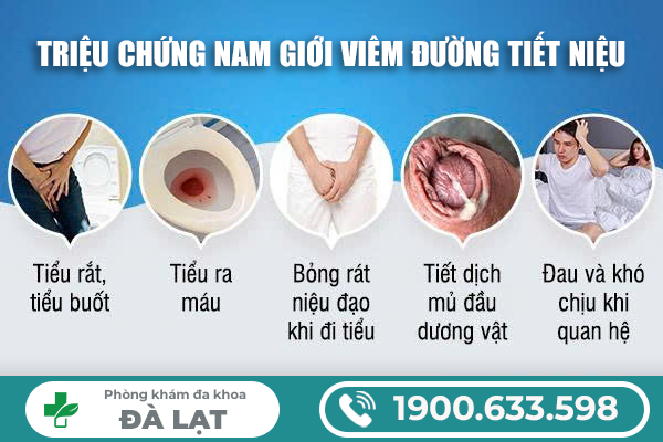 Hình ảnh minh họa